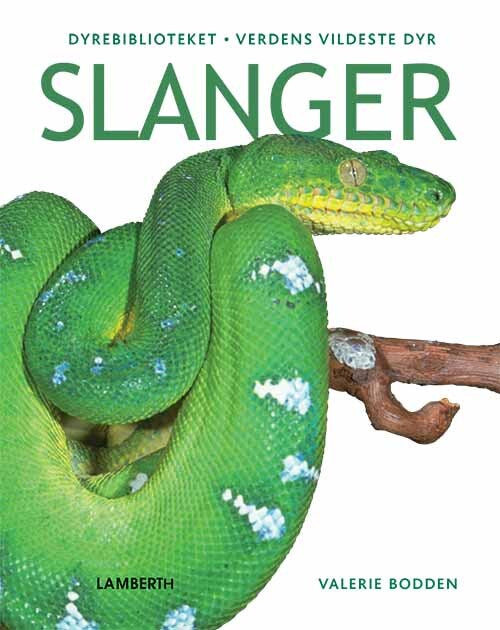 D1 Slanger