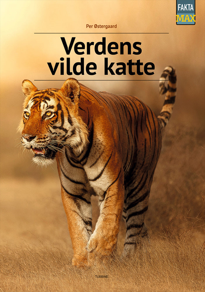 D1 Verdens vilde katte
