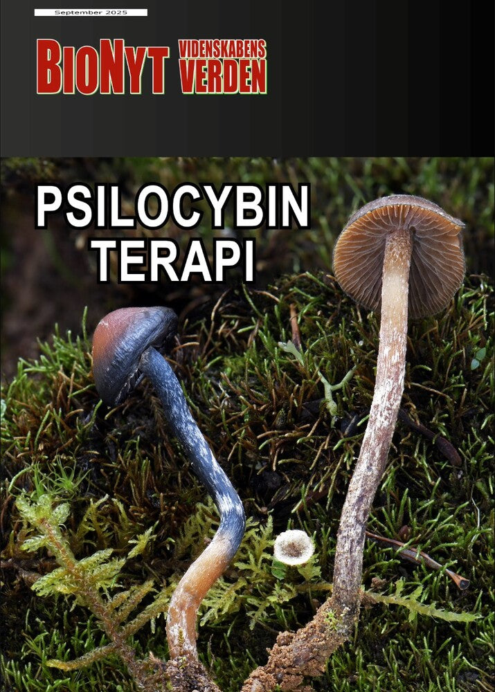 Psilocybin-terapi
