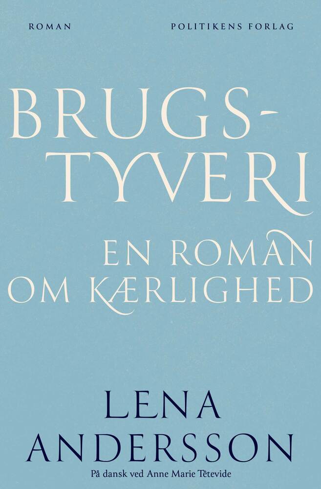Brugstyveri - en roman om kærlighed
