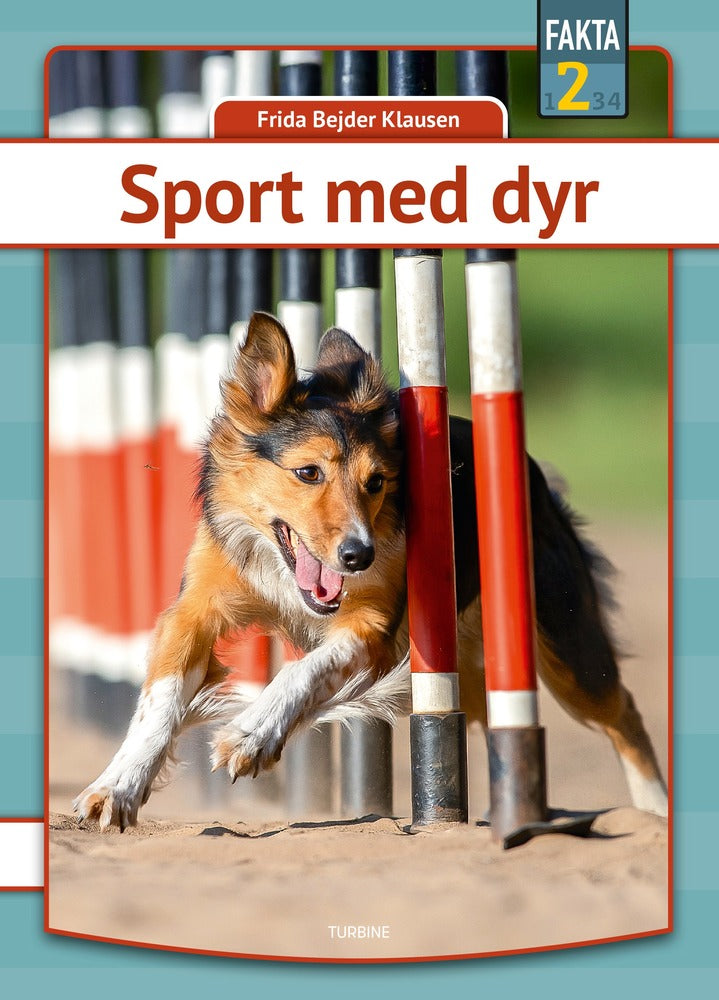 Sport med dyr