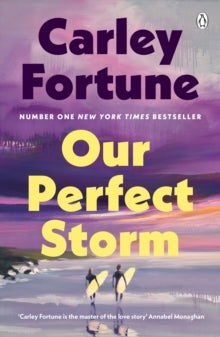 Our Perfect Storm