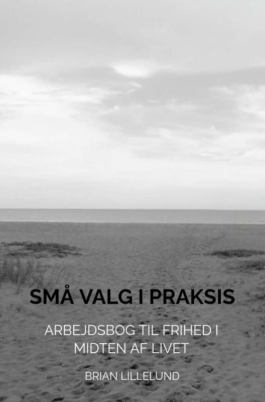Små Valg i Praksis