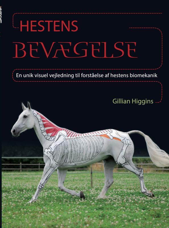 Hestens Bevægelse