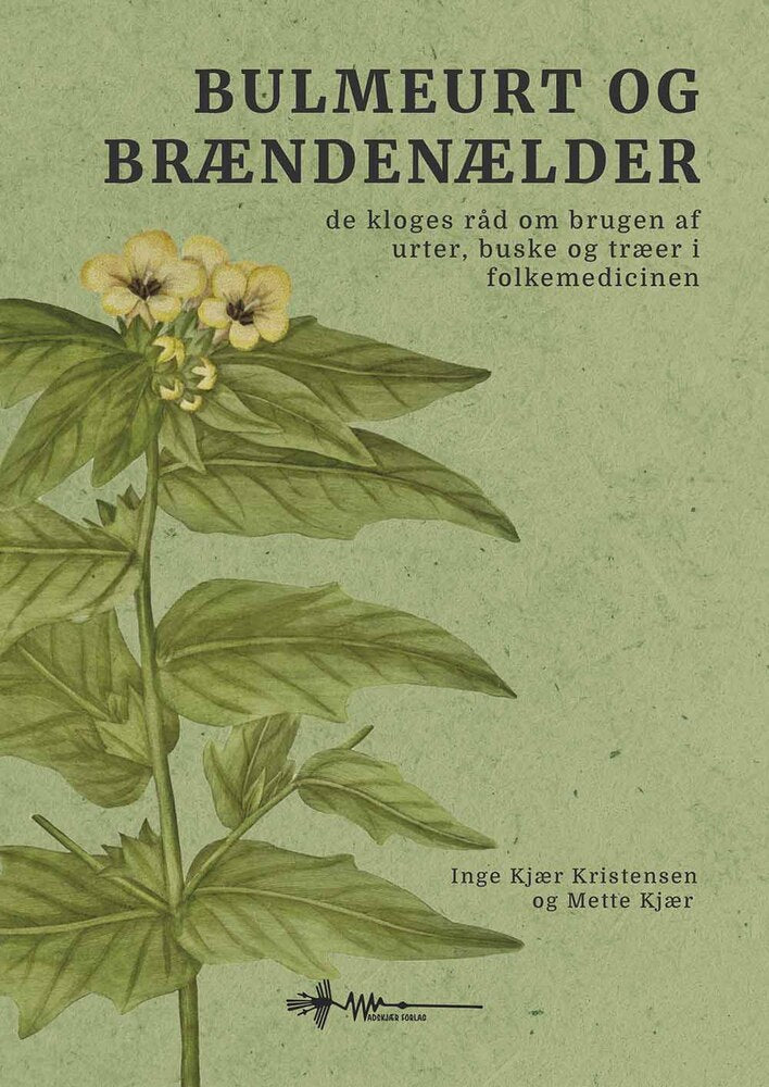 Bulmeurt og brændenælder