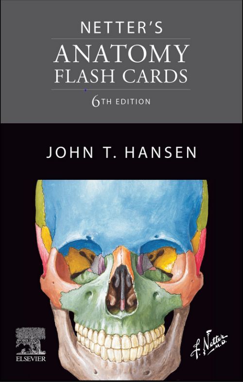 D2 Netter's Anatomy Flash Cards