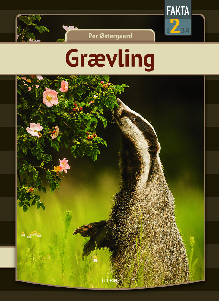 D1 Grævling