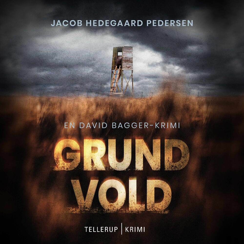 En David Bagger krimi #1: Grundvold - En David Bagger krimi