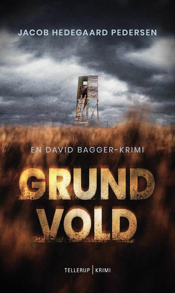 En David Bagger krimi #1: Grundvold - En David Bagger krimi