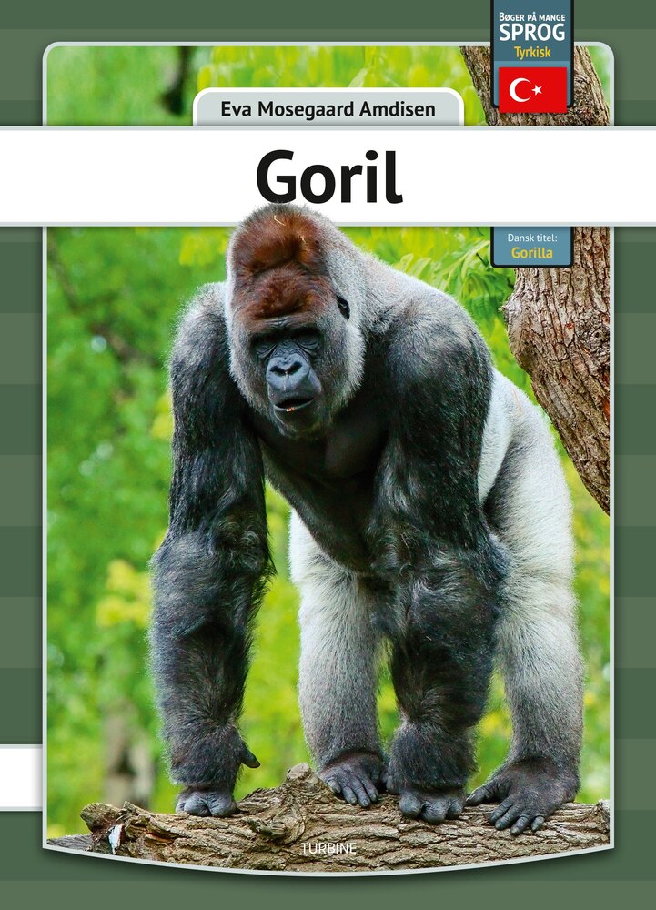 Gorilla - tyrkisk