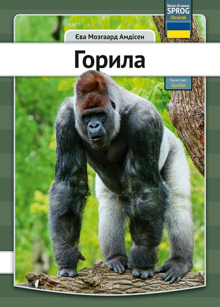 Gorilla - ukrainsk
