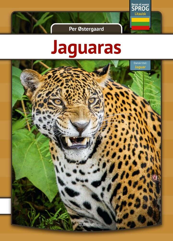 Jaguar - litauisk