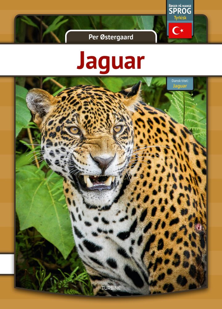 Jaguar - tyrkisk