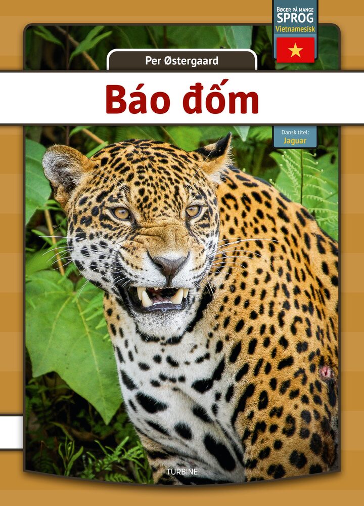 Jaguar - vietnamesisk