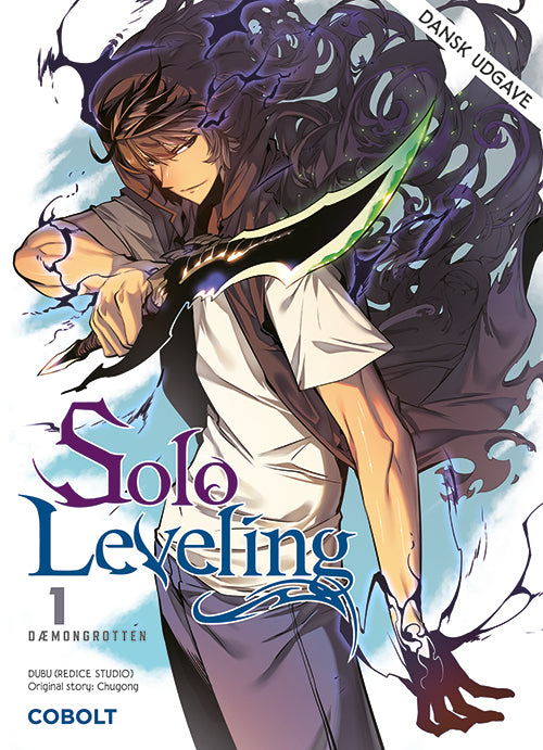 D2 Solo Leveling 1