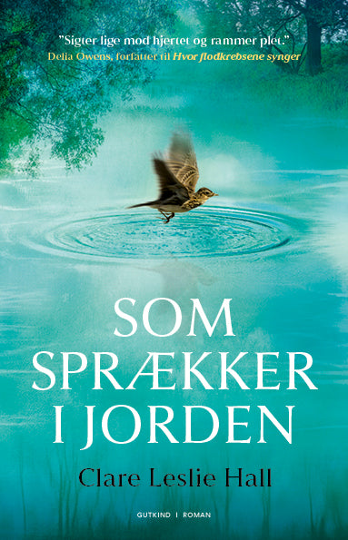 Som sprækker i jorden