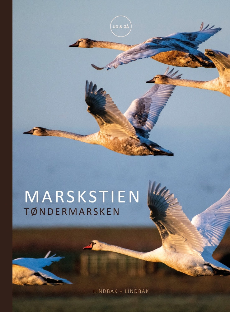 Marskstien