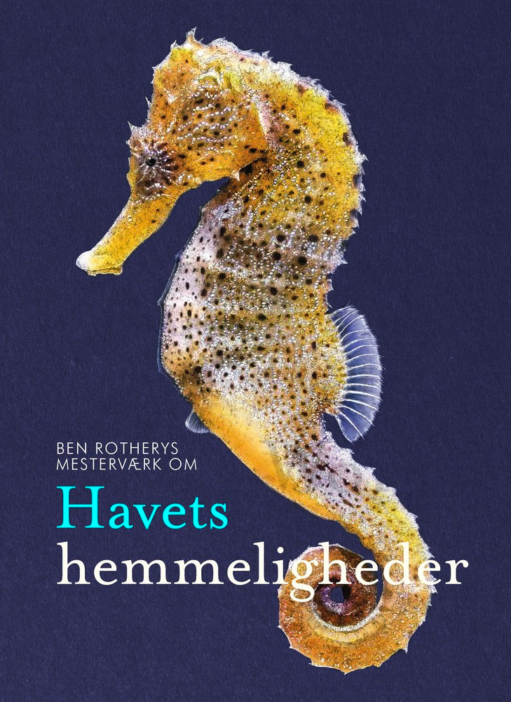 Havets hemmeligheder