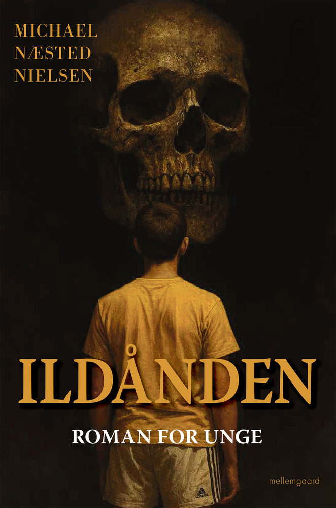ILDÅNDEN - Roman for unge