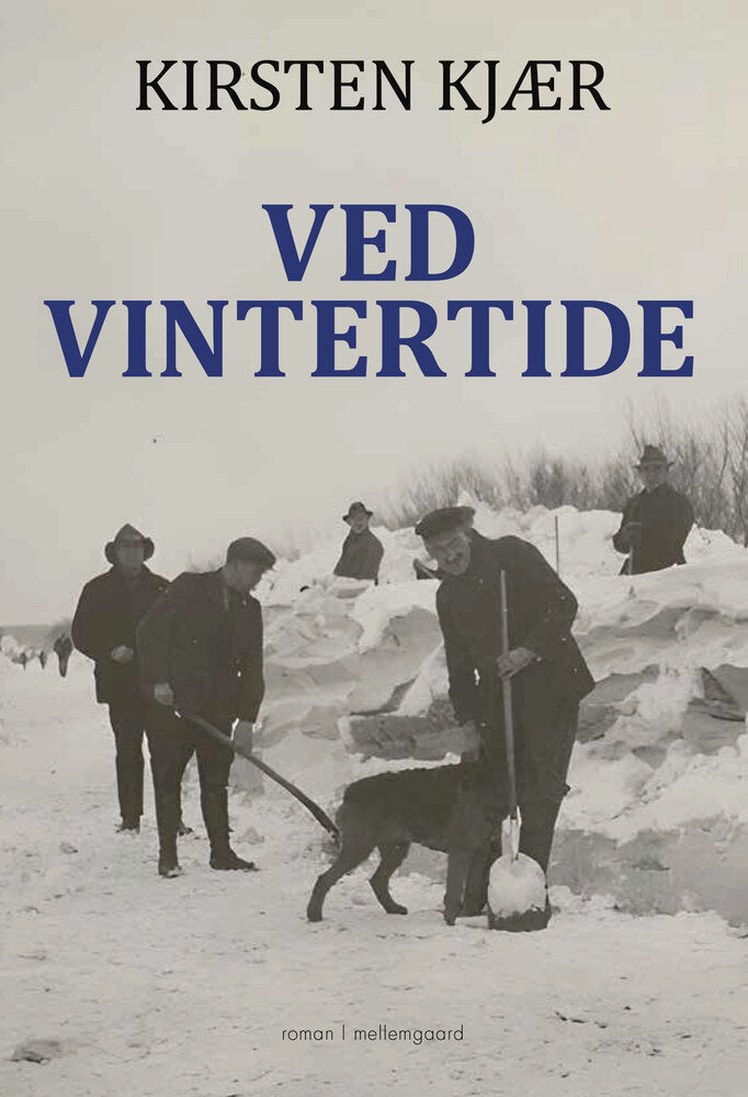 Ved vintertide