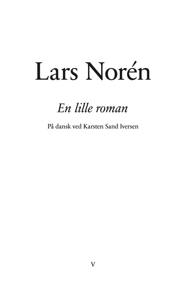 En lille roman