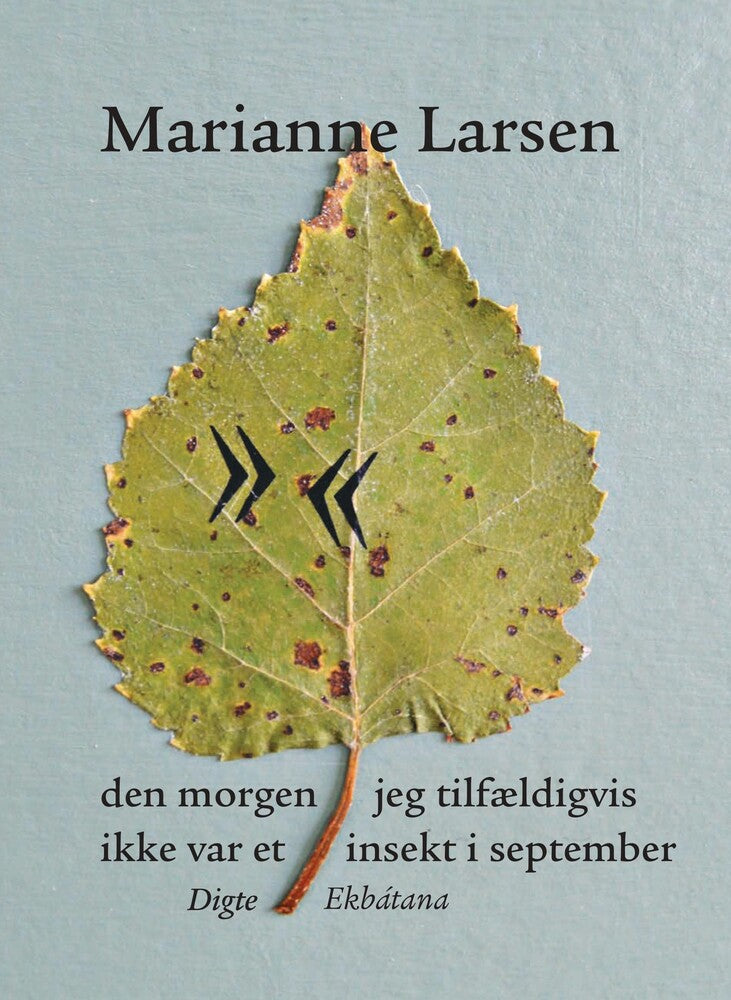 D1 den morgen jeg tilfældigvis ikke var et insekt i september