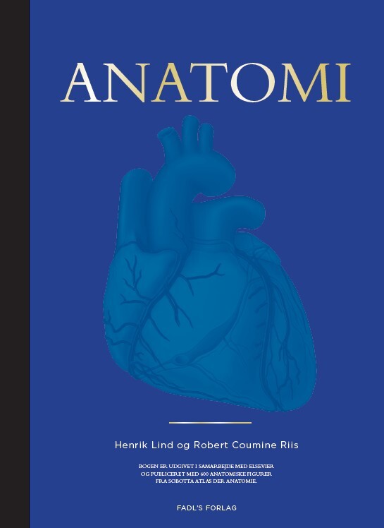 Anatomi