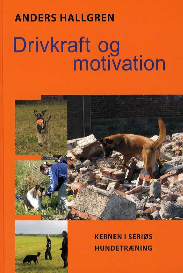 D1 Drivkraft og motivation