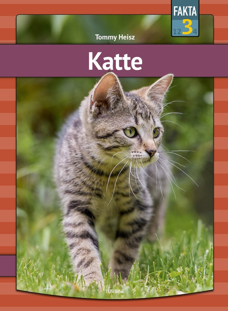 D1 Katte