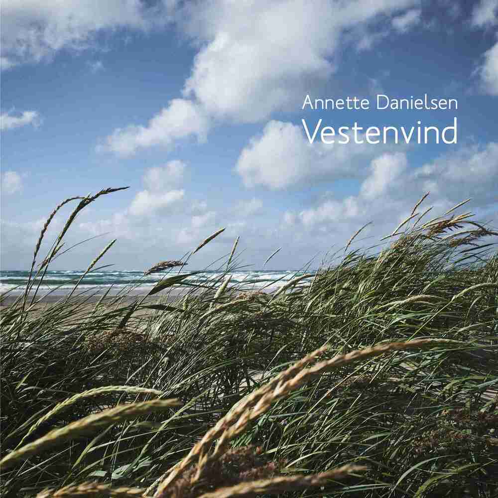 D1 Vestenvind