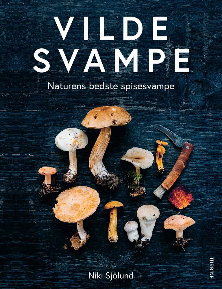 D1 Vilde svampe