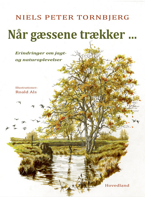 D1 Når gæssene trækker