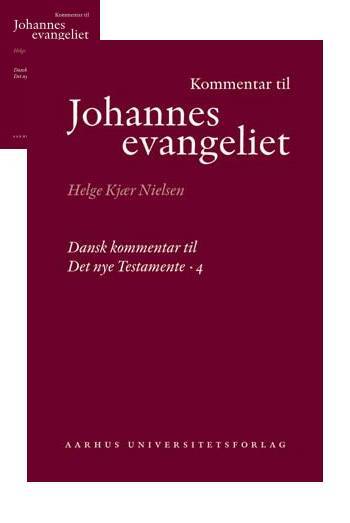 D1 Kommentar til Johannesevangeliet
