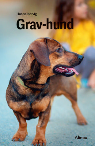 D1 Gravhund, Grøn Fagklub