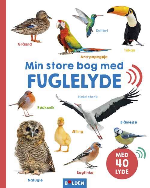 D1 Min store bog med fuglelyde