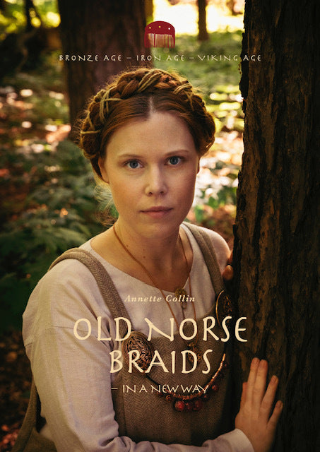 D1 Old Norse Braids in a new way