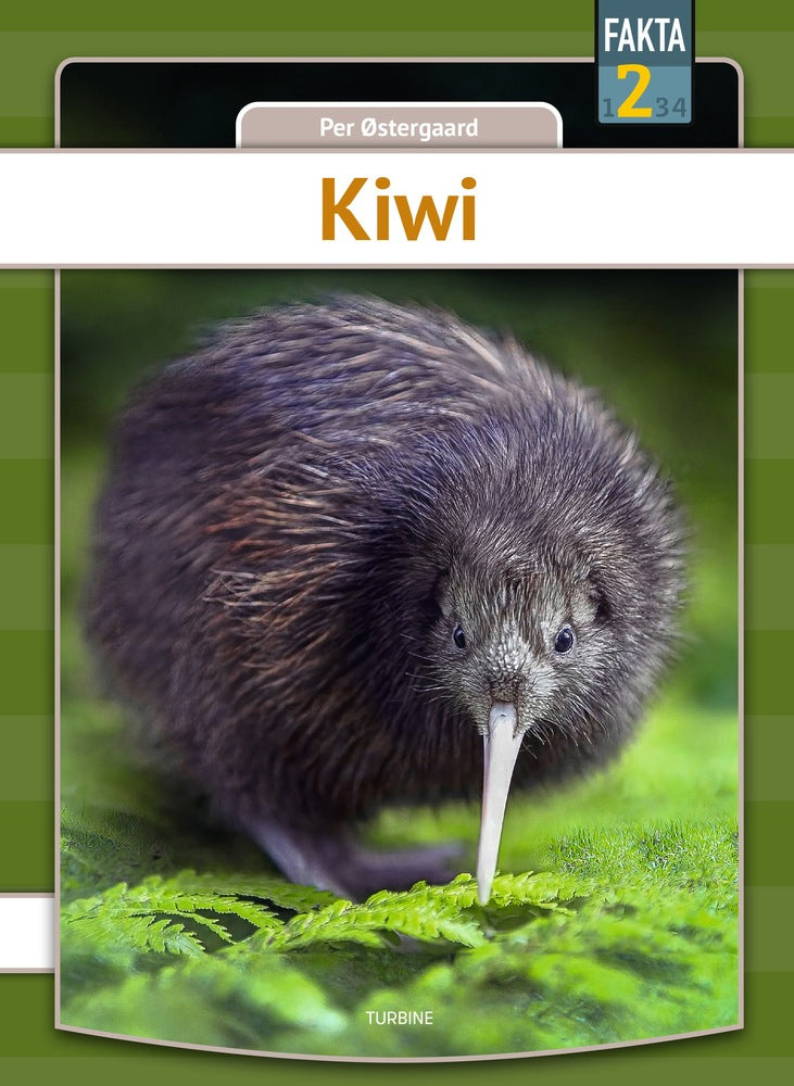 D1 Kiwi