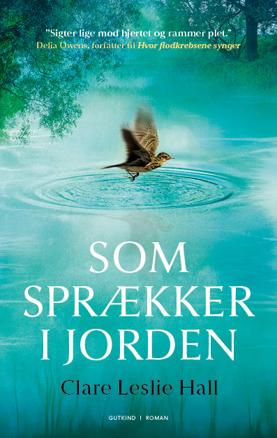 D1 Som sprækker i jorden