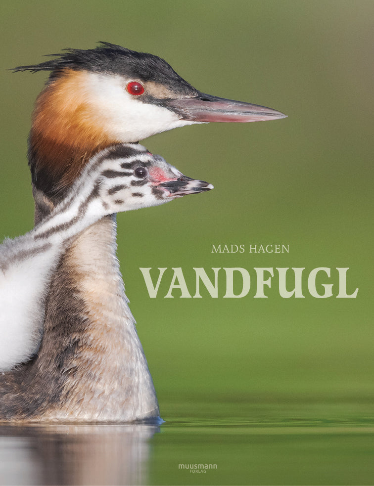 D1 Vandfugl