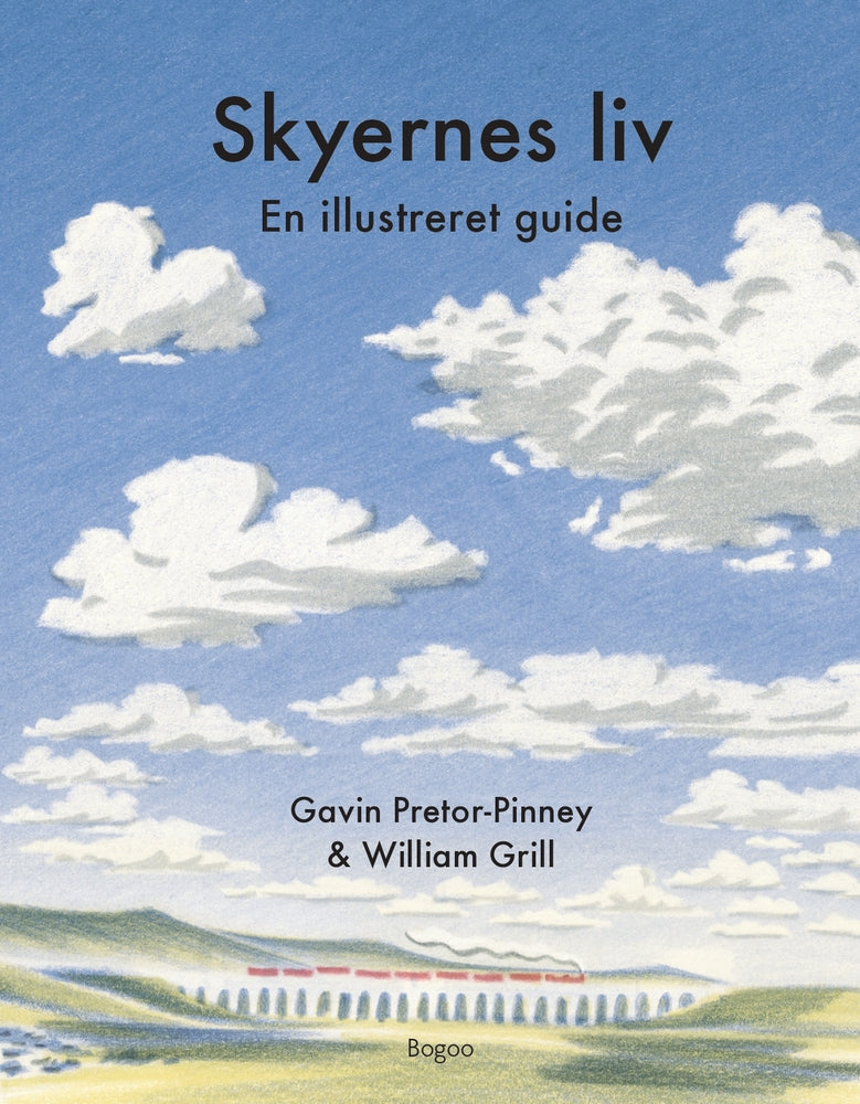 D1 Skyernes liv