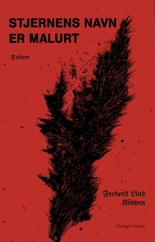 D1 Stjernens Navn er Malurt - Tekster