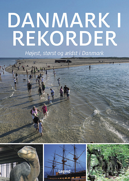 D2 Danmark i rekorder