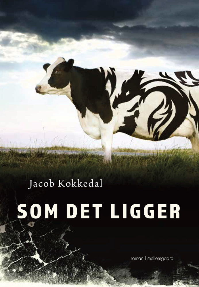 SOM DET LIGGER