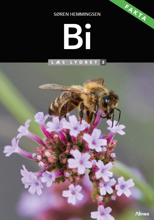 Bi, Læs Lydret 3, FAKTA