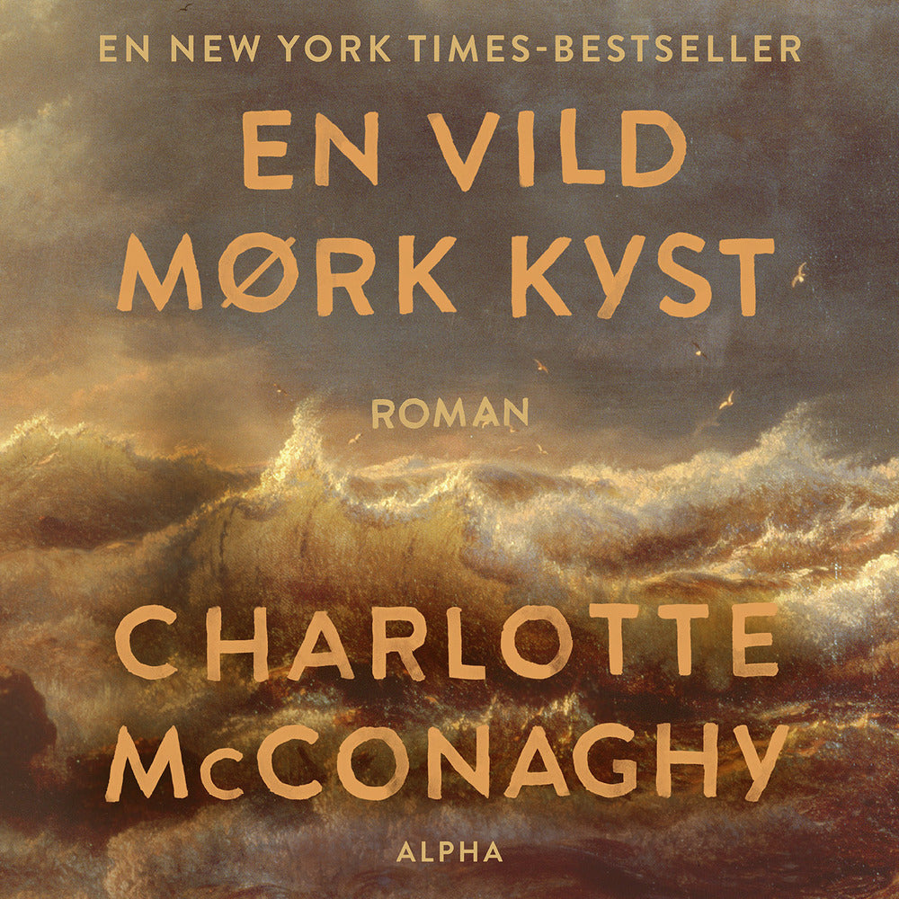 En vild mørk kyst