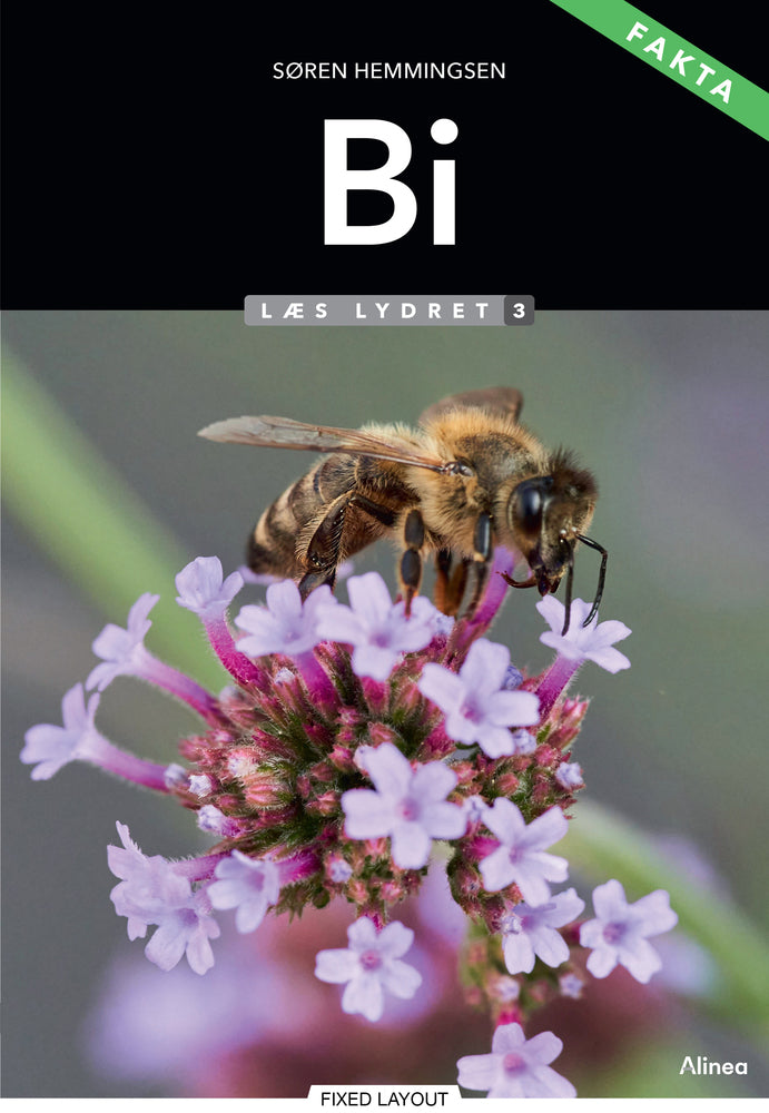 Bi, Læs Lydret 3, FAKTA