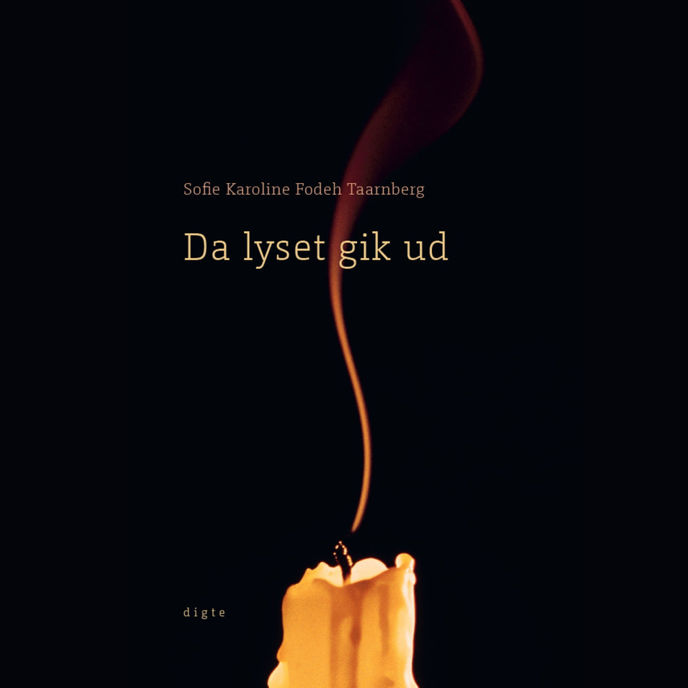 Da lyset gik ud