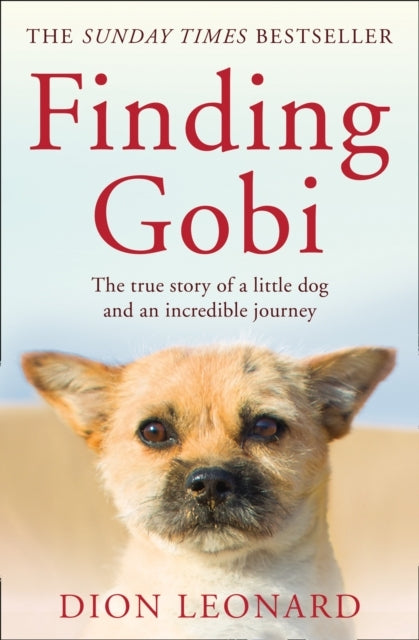 Finding Gobi Main Edition The True Story of A Little Dog and An Incredible Journey