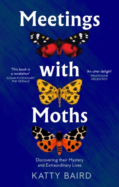 Meetings With Moths Discovering Their Mystery and Extraordin