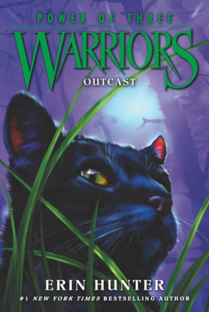 Warriors: Power of Three #3: Outcast - Warriors: Power of Three